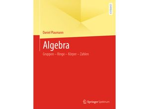 9783662672426 - Algebra - Daniel Plaumann Kartoniert (TB)