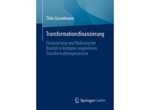 9783662673829 - Transformationsfinanzierung - Thilo Grundmann Kartoniert (TB)