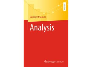 9783662680858 - Analysis - Norbert Steinmetz Kartoniert (TB)