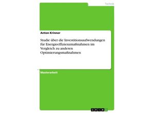 9783668462700 - Studie über die Investitionsaufwendungen für Energieeffizienzmaßnahmen im Vergleich zu anderen Optimierungsmaßnahmen - Anton Krinner Kartoniert (TB)