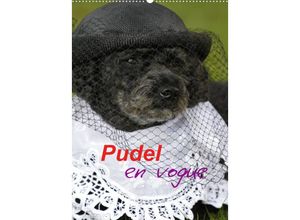 9783674286550 - Pudel en vogue (Wandkalender 2023 DIN A2 hoch)