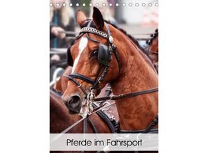 9783674841797 - Pferde im Fahrsport (Tischkalender 2023 DIN A5 hoch)