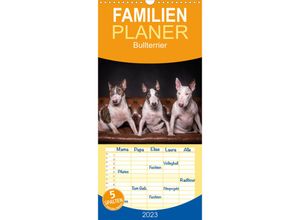 9783674866394 - Familienplaner Bullterrier (Wandkalender 2023  21 cm x 45 cm hoch)