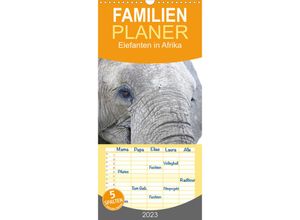 9783674890474 - Familienplaner Elefanten in Afrika (Wandkalender 2023  21 cm x 45 cm hoch)