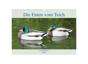 9783674951946 - Die Enten vom Teich (Wandkalender 2023 DIN A3 quer)