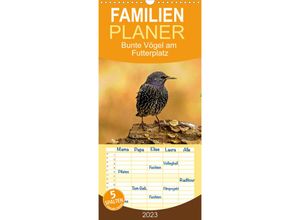 9783675331464 - Familienplaner Bunte Vögel am Futterplatz (Wandkalender 2023  21 cm x 45 cm hoch)