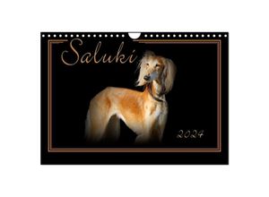 9783675431836 - Saluki 2024 (Wandkalender 2024 DIN A4 quer) CALVENDO Monatskalender