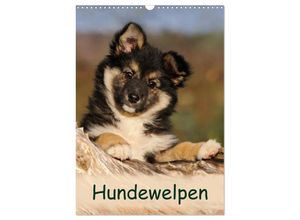 9783675479609 - Hundewelpen (Wandkalender 2024 DIN A3 hoch) CALVENDO Monatskalender