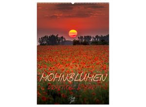 9783675547186 - Mohnblumen - kraftvoll und zart (Wandkalender 2024 DIN A2 hoch) CALVENDO Monatskalender