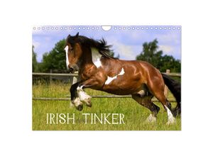 9783675637931 - Irish Tinker (Wandkalender 2024 DIN A4 quer) CALVENDO Monatskalender