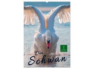 9783675671201 - Der Schwan (Wandkalender 2024 DIN A2 hoch) CALVENDO Monatskalender