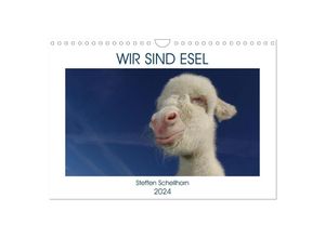 9783675732070 - WIR SIND ESEL (Wandkalender 2024 DIN A4 quer) CALVENDO Monatskalender