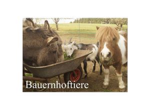 9783675765832 - Bauernhoftiere (Wandkalender 2024 DIN A2 quer) CALVENDO Monatskalender