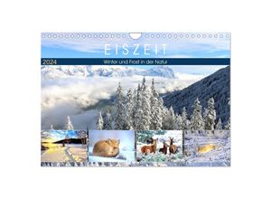 9783675837140 - Eiszeit Winter und Frost in der Natur (Wandkalender 2024 DIN A4 quer) CALVENDO Monatskalender