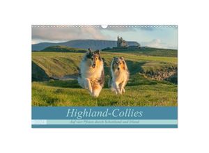 9783675838277 - Highland-Collies - Auf vier Pfoten durch Schottland und Irland (Wandkalender 2024 DIN A3 quer) CALVENDO Monatskalender