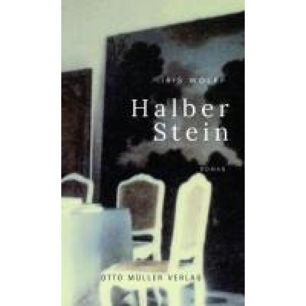 9783701313198 - Wolff Iris Halber Stein