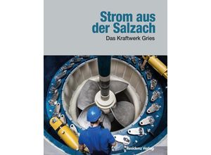 9783701734863 - Strom aus der Salzach Gebunden