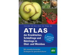 9783702014896 - Atlas der Krankheiten Schädlinge und Nützlinge im Obst- und Weinbau - Peter Fischer-Colbrie Michael Groß Milan Hluchy Uwe Hoffmann Mathilde Knoll Sabine Pleininger Michaela Stolz Gebunden