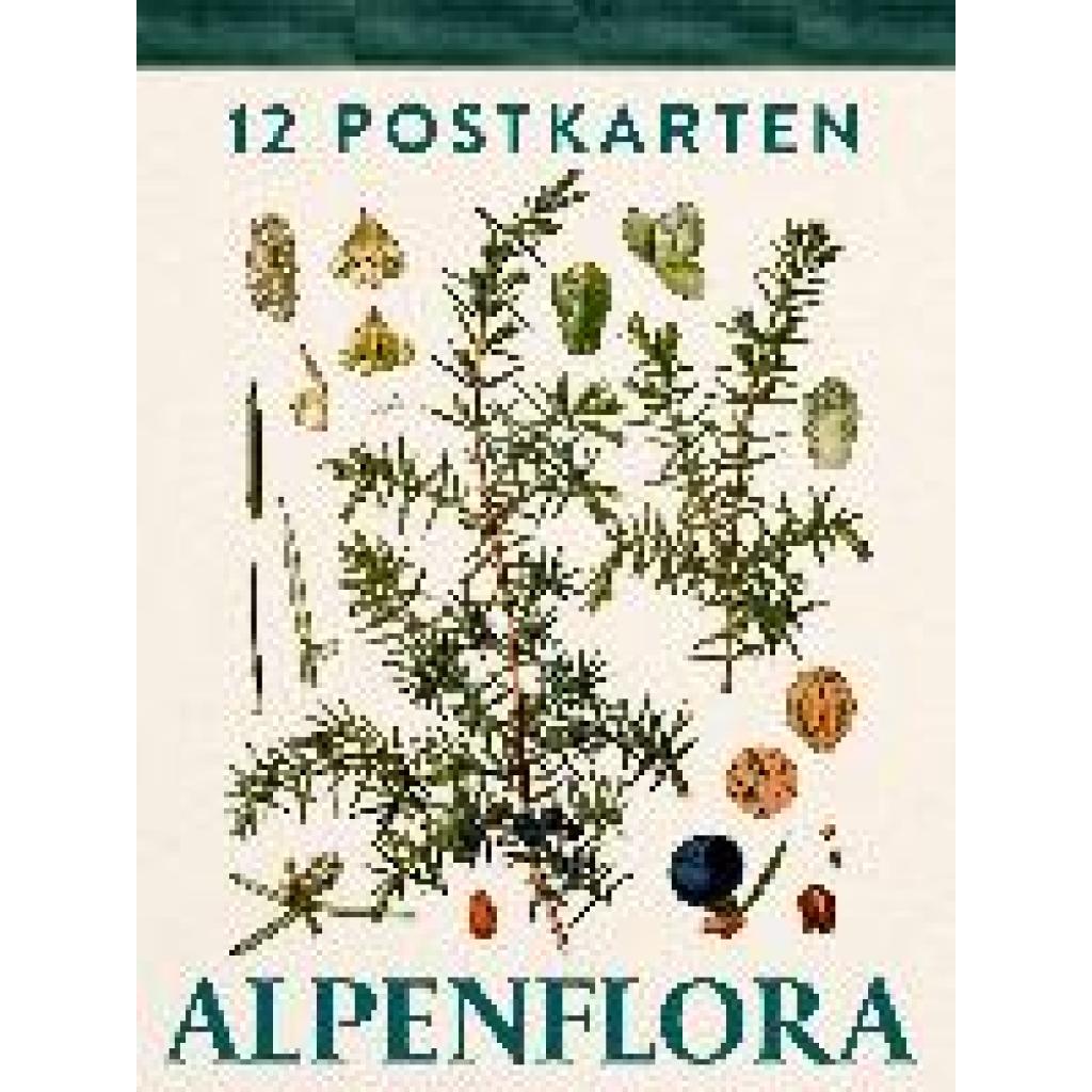 9783702511449 - Alpenflora 9783702511449 - Alpenflora