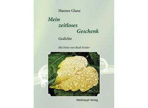 9783705905382 - Mein zeitloses Geschenk - Hannes Glanz Gebunden