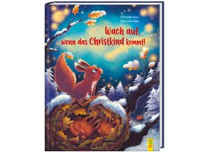 9783707425833 - Wach auf wenn das Christkind kommt! - Christine Auer Gebunden