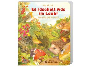 9783707452990 - Es raschelt was im Laub - Jana Walczyk Pappband