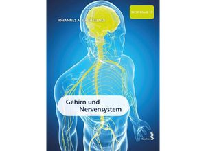 9783708924151 - Gehirn und Nervensystem Kartoniert (TB)