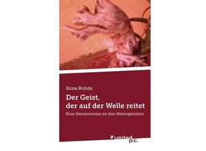 9783710303685 - Der Geist der auf der Welle reitet - Ilona Rohde Kartoniert (TB)