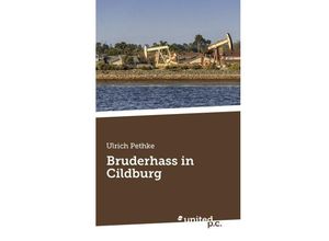 9783710325052 - Bruderhass in Cildburg - Ulrich Pethke Kartoniert (TB)