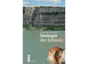 9783722501673 - Geologie der Schweiz - Christian Gnägi Toni P Labhart Kartoniert (TB)