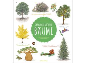 9783730610558 - Das große Buch der Bäume - Nathalie Tordjman Gebunden