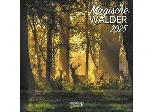 9783731875529 - Magische Wälder 2025