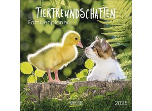 9783731875710 - Tierfreundschaften - Familientimer 2025