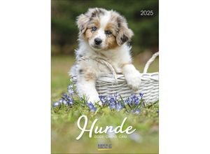 9783731876175 - Hunde 2025