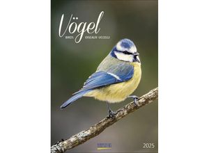 9783731876205 - Vögel 2025