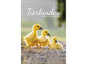 9783731876212 - Tierkinder 2025