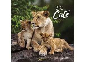 9783731876410 - Big Cats 2025