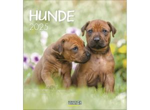 9783731876717 - Hunde 2025