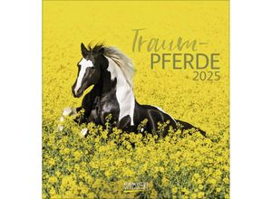 9783731876731 - Traumpferde 2025