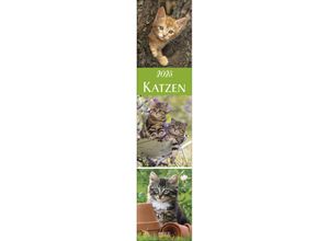 9783731877301 - Katzen Langplaner 2025