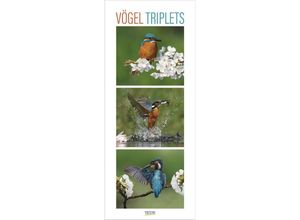 9783731879213 - Vögel Triplets 2025