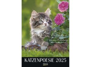 9783731879367 - Katzenpoesie 2025