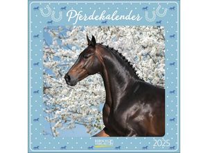 9783731880141 - Pferdekalender 2025