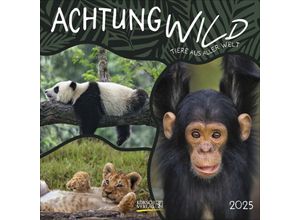 9783731880226 - Achtung wild - Tiere aus aller Welt 2025