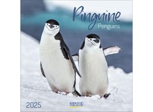 9783731880240 - Pinguine 2025