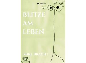 9783732356256 - Blitze am Leben - Mike Bracht Kartoniert (TB)