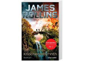 9783734105654 - James Rollins - GEBRAUCHT Das Knochenlabyrinth Roman (SIGMA Force Band 11) - Preis vom 02102023 050404 h