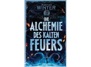 9783734108013 - Die Alchemie des kalten Feuers - Nathan Winter Taschenbuch