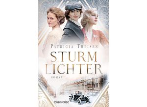 9783734110368 - Sturmlichter - Patricia Theisen Taschenbuch