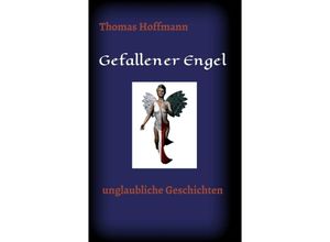 9783734555404 - Gefallener Engel - Thomas Hoffmann Kartoniert (TB)